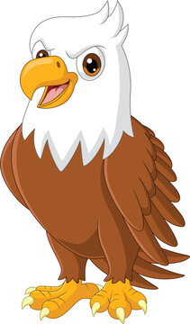 Cartoon eagle on white background