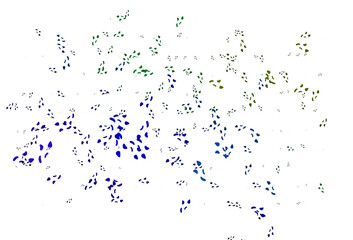 Light Multicolor, Rainbow vector pattern with chaotic shapes.