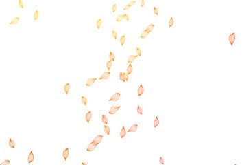 Light Yellow, Orange vector hand painted texture.