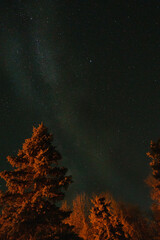 Milky Way view from the forest, stars 