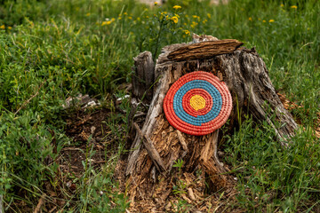 Bow and Arrow Target Outside Camping for Kids Family Games