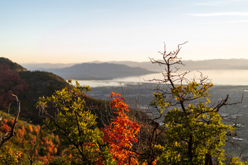 Sunset at Dusk Utah Lake Fall Leaves