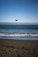 Lovely Ocean Scenery, California 