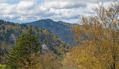 Naklejka premium Fall colors in the mountains 