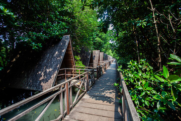 Fototapeta premium Mangrove natural tourist park located at Pantai Indah Kapuk, Muara Angke, Jakarta. One of the green areas in Jakarta which is also a tourist destination.