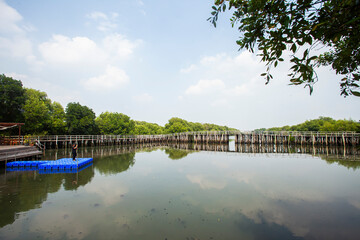 Mangrove natural tourist park located at Pantai Indah Kapuk, Muara Angke, Jakarta. One of the green areas in Jakarta which is also a tourist destination.