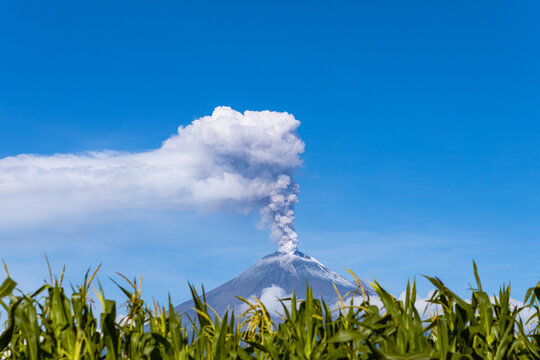 fumarole explosion of popocatepetl volcano with a clear sky