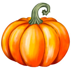 Autumn pumpkin illustration
