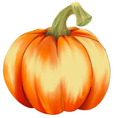 Autumn pumpkin illustration