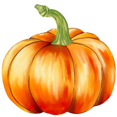 Autumn pumpkin illustration