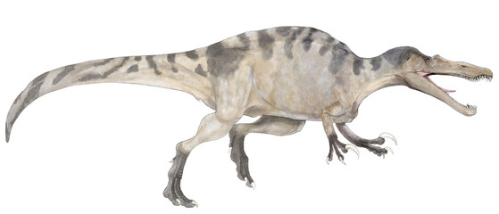 Schomimus2023