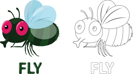 Cute Fly cartoon Coloring Book, hand drawn simple lines