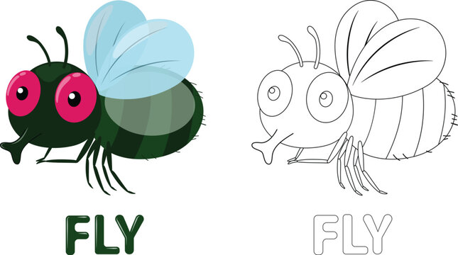 Cute Fly cartoon Coloring Book, hand drawn simple lines