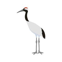 vector drawing sketch of bird, hand drawn red-crowned crane, isolated nature design element