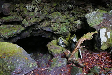 Aokigahara sea of tree Jyukai and hyoketsu ice cave in Mt Fuji and Mt Ohmuro in shizuoka and Yamanashi, Japan.