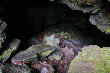 Aokigahara sea of tree Jyukai and hyoketsu ice cave in Mt Fuji and Mt Ohmuro in shizuoka and Yamanashi, Japan.