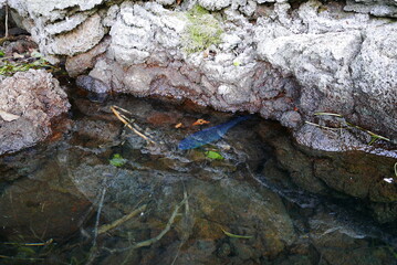 Kayak and canoe at Lake Saiko near Mt. Fuji. The calm water surface is calm and pleasant.