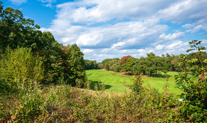 Fototapeta na wymiar Golf course landscape with sky and green grass