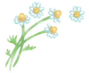 アロマに使われるハーブのイラスト・コーナー。フレームが作れます。ベクター素材