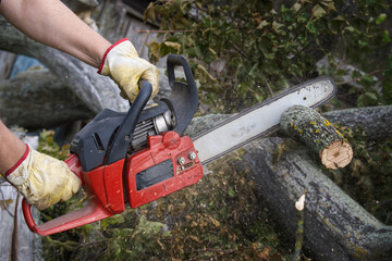 Chainsaw held firmly in the individual's hands