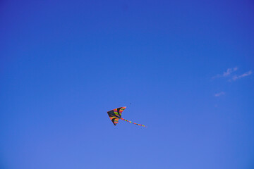 Fototapeta na wymiar A kite flies in the blue sky