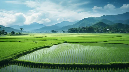 Foto auf Leinwand 田舎の田んぼのある風景 © racoo
