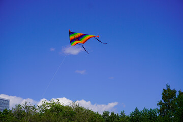 A kite flies in the blue sky