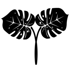 Exotic plants, palm leaves