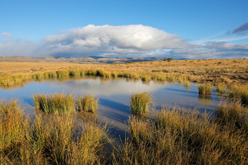 Scenic mountain landscape at sunrise, Mountain Zebra National Park, South Africa.