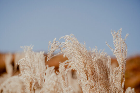 รูปภาพAwn – เลือกดูภาพถ่ายสต็อก เวกเตอร์ และวิดีโอ35,202 | Adobe Stock