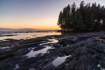 Rocky Shore on the Pacific Ocean Coast. Sunny Sunset. Nature Background
