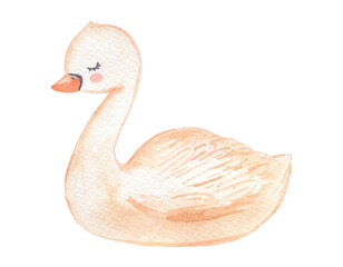 Watercolor beige cute baby swan. Hand drawn cartoon illustration for kids.