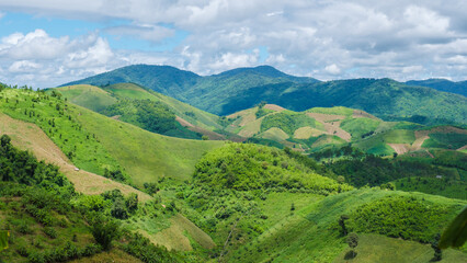 green hills of Doi Chang Mountains of Chiang Rai Northern Thailand , Natural mountain view on Doi...
