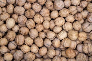 A bunch of walnuts. Lots of walnuts. Natural organic walnuts.