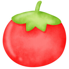 Watercolor Tomato Clipart - Fresh Digital Vegetable Art