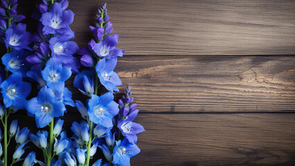 Delphinium Flower on Wood Background with Copy Space