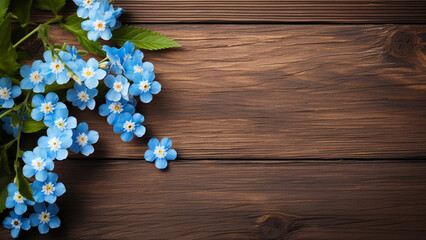 Forget Me Not Flower on Wood Background with Copy Space