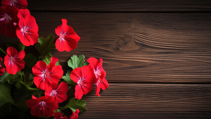 Naklejka na ściany i meble Geranium Pelargonium Flower on Wood Background with Copy Space