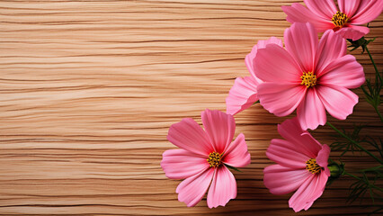 Cosmos Flower on Wood Background with Copy Space