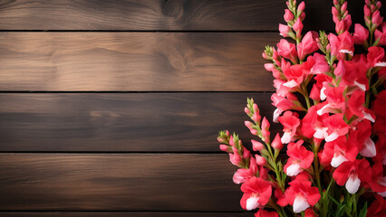 Fototapeta na wymiar Snapdragon Flower on Wood Background with Copy Space