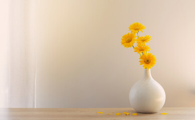 yellow gerbera in modern  vase on wooden shelf