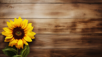 Sunflower (Helianthus) on Wood Background with Copy Space