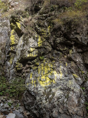 Rocky wall from Cheile Galbenului gorge, Baia de Fier, Gorj, Romania