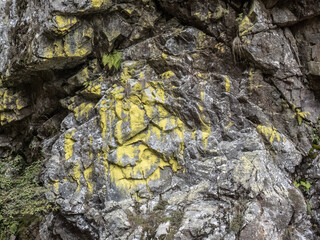 Rocky wall from Cheile Galbenului gorge, Baia de Fier, Gorj, Romania