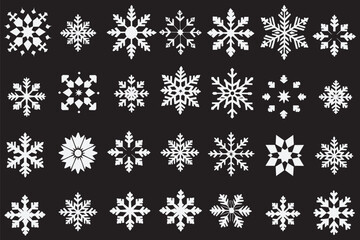 set of snow flakes vector illustration