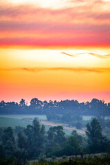A Tranquil Morning View of a Field with Tall Grass and Flowers and a Thin Coniferous Tree against a Pink and Orange Sky.