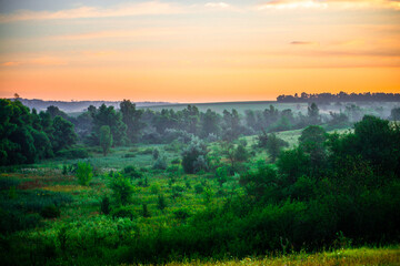 A Splendid Sunrise over a Serene Field of Wildflowers and a Lone Coniferous Tree. Fog over the forest . Green trees in forest . Summer landscape . Summer morning in the field 
