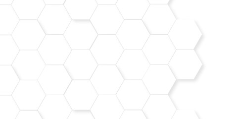 Abstract 3d hexagons white Hexagonal Background. Luxury White Pattern. Vector Illustration. 3D Futuristic abstract honeycomb mosaic white background. geometric mesh cell texture.