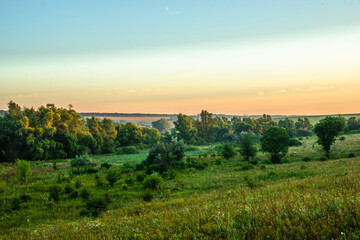 Obraz premium A Splendid Sunrise over a Serene Field of Wildflowers and a Lone Coniferous Tree. Fog over the forest . Green trees in forest . Summer landscape . Summer morning in the field 