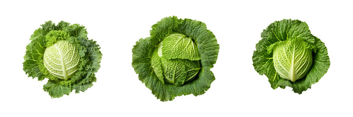 Set of Savoy cabbage top view isolated on transparent or white background - obrazy, fototapety, plakaty